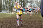 Girls under-15s, 2020 British Athletics Inter Counties Cross Country Champs., Prestwold Hall, Loughborough. Photo: David T. Hewitson/Sports for All Pics